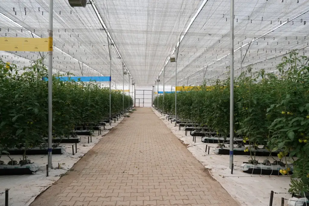 沈阳有马房产中介管理系统软件技术架构与性能优势解析